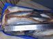 Matjes herring, 8&ndash;9 pieces, headless, salted/marinated &mdash; additional photo on the Triton website