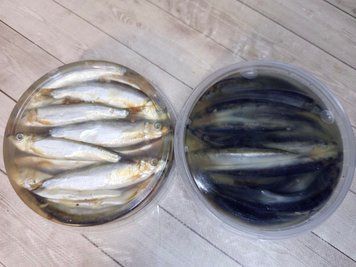 Spiced-cured sprat in oil 300g (export) &mdash; buy in Triton online store