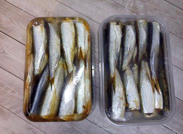 Cold-smoked headless sprat in oil, 500g (export) &mdash; buy in Triton online store