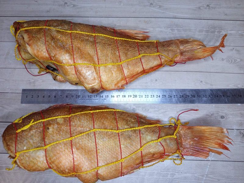 Hot-Smoked Atlantic Redfish 200+, headless &mdash; buy in Triton online store