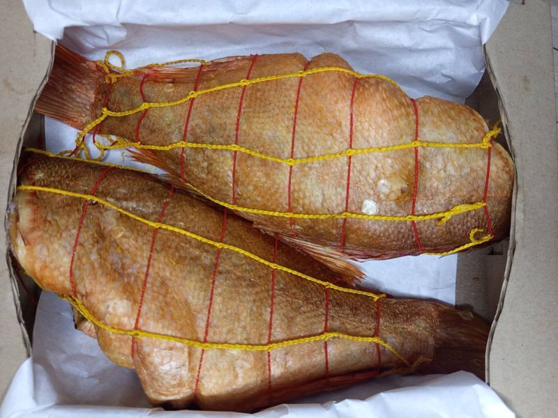 Hot-Smoked Atlantic Redfish 200+, headless &mdash; buy in Triton online store