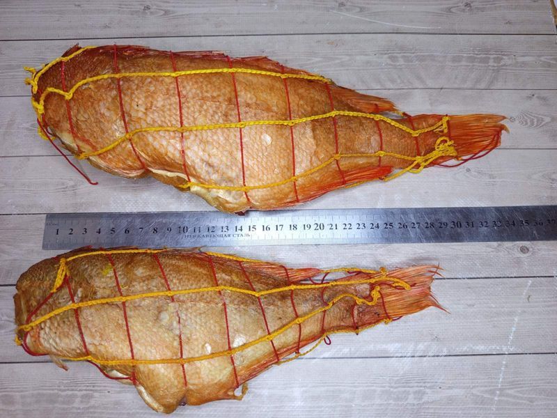 Hot-Smoked Atlantic Redfish 200+, headless &mdash; buy in Triton online store