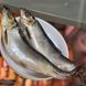 Salted Herring, 350+ &mdash; additional photo on the Triton website