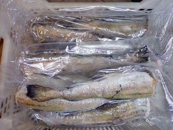 Frozen Pollock, headless, 200-400 &mdash; buy in Triton online store