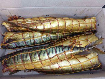 HOT-SMOKED mackerel, headless (raw material 500+) &mdash; buy in Triton online store