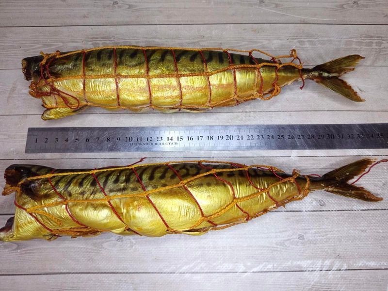 HOT-SMOKED mackerel, headless (raw material 500+) &mdash; buy in Triton online store
