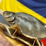 Лящ в'ялений патраний ВЕЛИКИЙ  (0,4-1,6кг)  &mdash; купити в інтернет-магазині Тритон