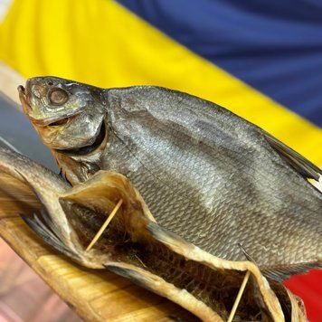Лящ в'ялений патраний ВЕЛИКИЙ  (0,4-1,6кг)  &mdash; купити в інтернет-магазині Тритон