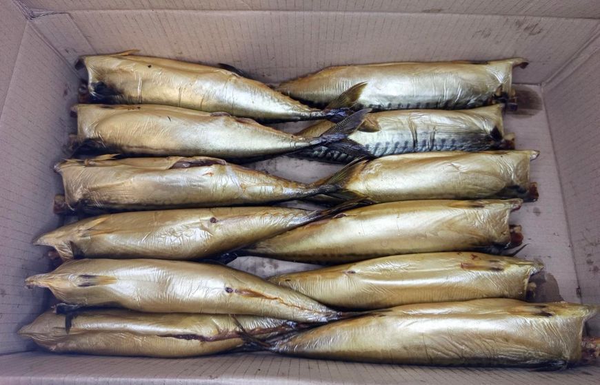 Cold smoked mackerel B/G (raw material 500+) &mdash; buy in Triton online store
