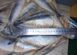 Matjes Herring 5-7, headless, salted-frozen &mdash; additional photo on the Triton website
