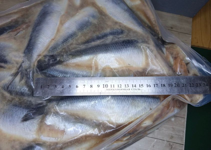 Matjes Herring 5-7, headless, salted-frozen &mdash; buy in Triton online store
