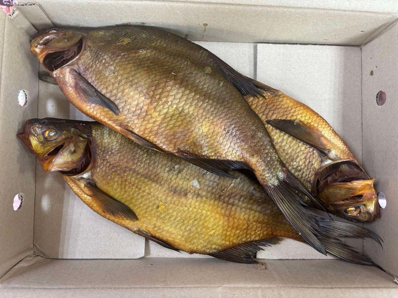 Лящ холодного копчення ІКРЯНИЙ (до 30%)  &mdash; купити в інтернет-магазині Тритон