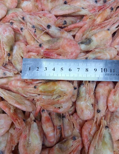 Креветка варено-мороженая с/с 120-170 (Канада) &mdash; купить в интернет-магазине Тритон
